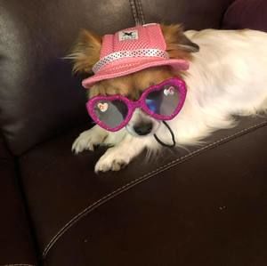 Meet your Posher, Sharon